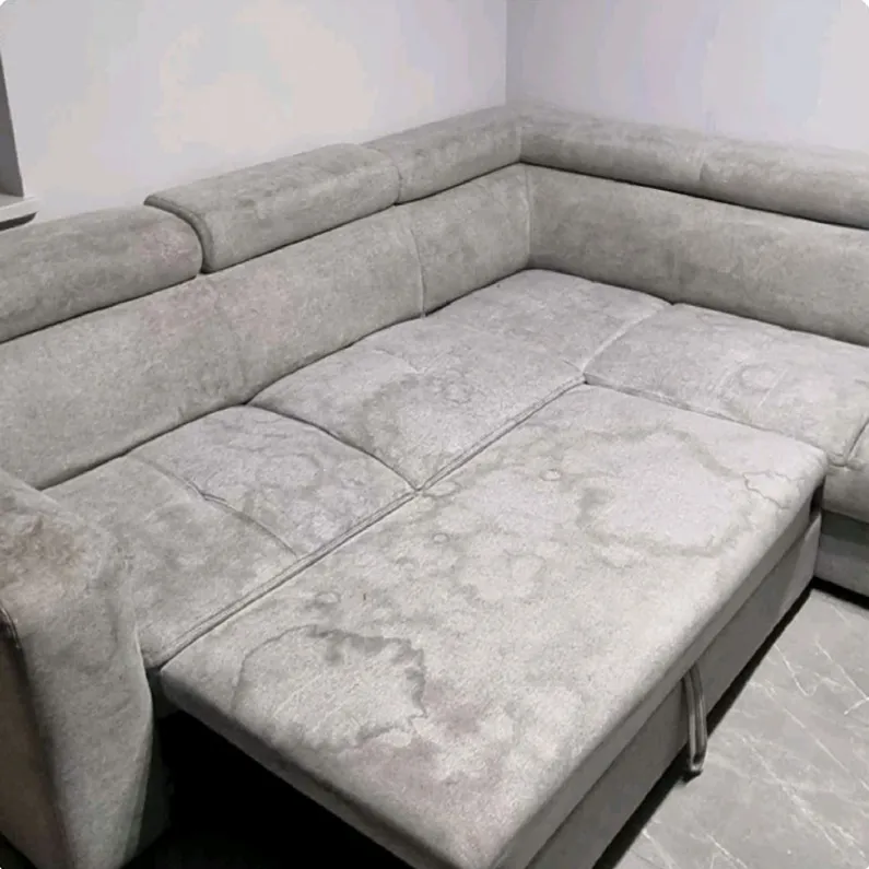 Kanapa przed praniem ekstrakcyjnym