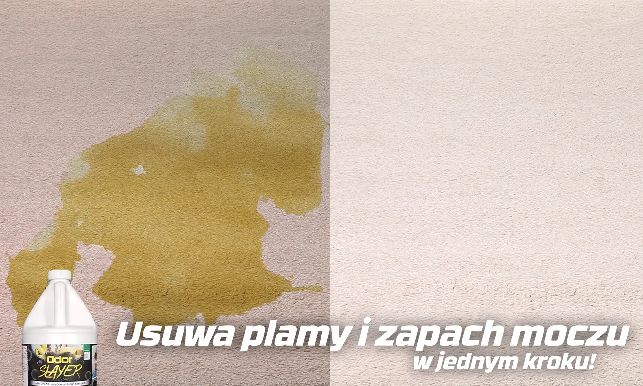 Efekt usuwania plam organicznych z dywanu – czyszczenie z użyciem nowego HydraMaster OdorSlayer